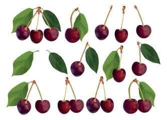 Set of Realistic red cherry on white background