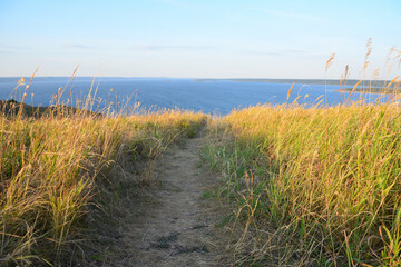 Pathway to the Horizon A Serene Vista copy space