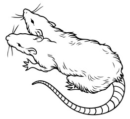 Two headed mutant rat with grotesque body, creepy monstrous rodent of plague and decay, eerie horror creature from nightmares, sinister gothic symbol of disease and darkness