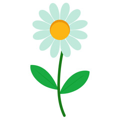 A single delicate daisy flower with green stem and leaves isolated on a clean white background for design