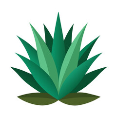Stylized illustration of a desert agave plant with sharp leaves isolated on a clean white background for graphic design