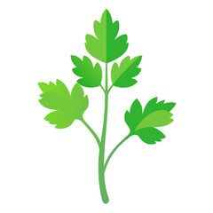 Naklejka premium Fresh green parsley plant isolated on a clean white background for culinary and design projects