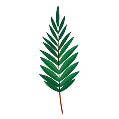 Detailed pine needle and leaf illustration on a clean isolated white background showcasing natural botanical beauty