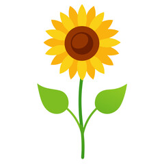 Vibrant sunflower plant illustration with detailed petals and leaves isolated on a clean white background for design