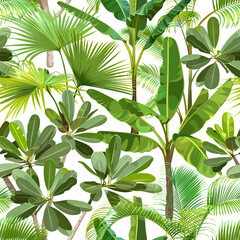 Seamless pattern. Palms and succulent flowers on a white background. Desert and tropical thorny houseplants. 