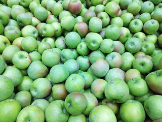 ripe, juicy apples before calibration, packing and sending for sale. tasty and healthy fruits. dietary nutrition. vitamins, minerals and fiber