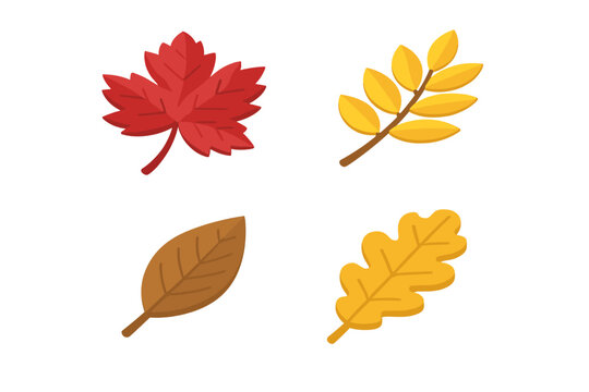 Autumn leaves isometric icon set. Fall foliage collection. Red maple, yellow oak, brown beech, rowan leaf. 4 seasonal nature elements. 3D flat vector graphic illustration.