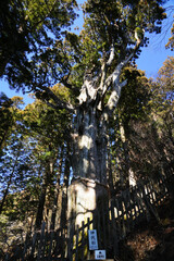 奈良県_玉置神社 © Morito Kanehara