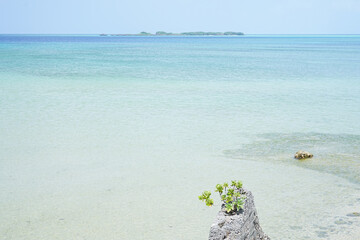 沖縄県_西表島_上原港
