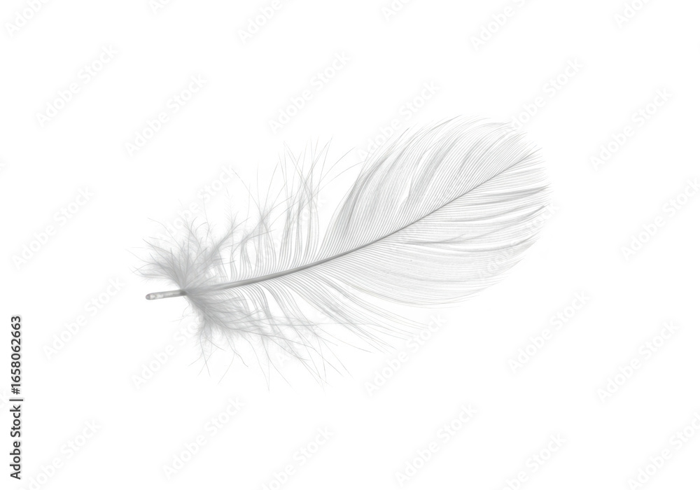 Aufkleber delicate white feather isolated on transparent background with soft lighting and fine details