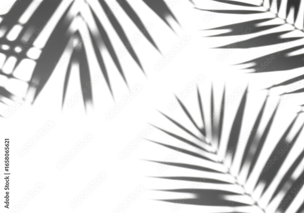 Poster shadow of palm leaves on a transparent background, creating a natural and minimalist pattern, isolat