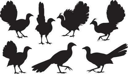 Naklejka premium Lyrebird Silhouette Vector