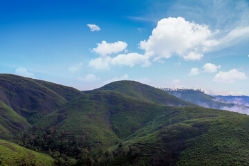 Fototapeta premium Beautiful view of Parunthumpara mountains Idukki, Kerala, India 