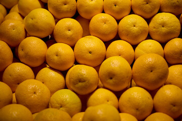 A beautiful arrangement of fresh, juicy oranges gathered in a vibrant, colorful display