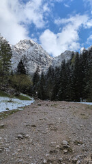 Fototapeta premium Wide rocky hiking path leading towards snowy alpine peaks and forest. Scenic trekking landscape.