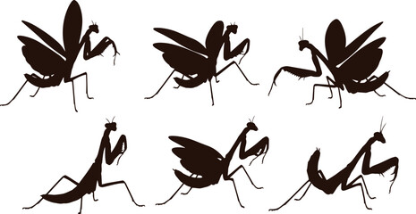 Orchid Mantis Silhouette Vector