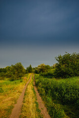 A rural dirt road winds through a lush green field in Ukraine under a dramatic and moody gray sky, with light and shadow playing across the landscape.