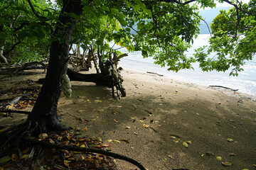 沖縄県_西表島_網取湾_ウダラ浜