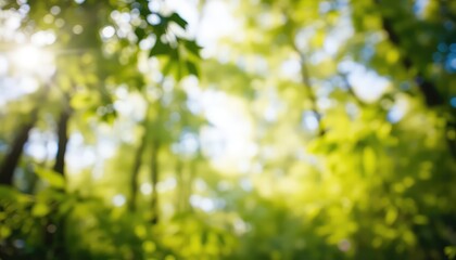 Sunlight pierces the leafy canopy, creating a blurred landscape of verdant green and illuminating nature's beauty