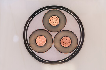 Cross section of a high voltage power cable with three copper conductor cores. Industrial...