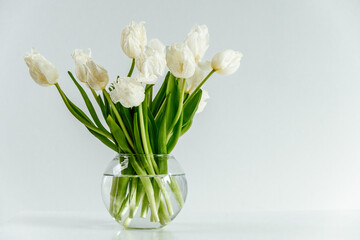 bouquet white tulips in simple clear vase sits on smooth surface, highlighting their beauty and freshness in well-lit setting. clean lines create minimalistic atmosphere. close up.