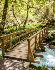 Fototapeta premium Wooden bridge over a stream in a lush forest