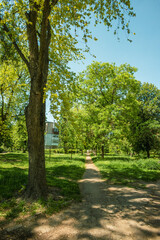 A peaceful and sunlit springtime path winding through a park, bordered by lush green grass and vibrant trees, with a distant residential building visible under a clear blue sky, casting long shadows 