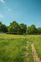A wide, grassy park with a line of large, green trees and a small dirt path leading into the distance under a vast, bright blue sky with a few white clouds on a sunny summer day.