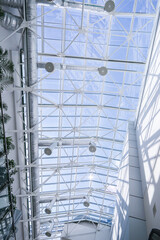 A large, open space with a lot of natural light and a few plants