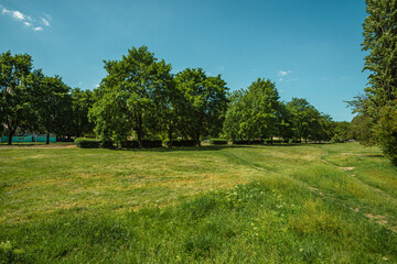 An expansive view of a large, open field with overgrown grass, leading to a line of mature green trees, with a dirt path to the right, under a bright blue summer sky.