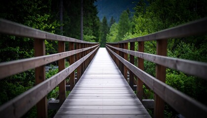 Wooden bridge through lush forest