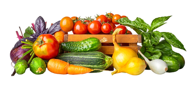 Fresh vegetables in rustic wooden box. Basil leaves, cucumbers, zuccini, carrots and tomatoes from the kitchen garden. Organic natural food. Isolated. PNG.
