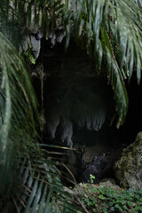 Fototapeta premium 沖縄県_西表島_クーラ洞窟
