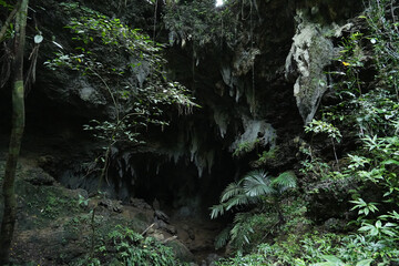 沖縄県_西表島_クーラ洞窟