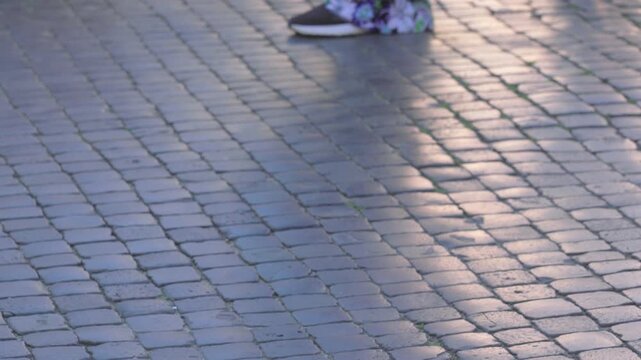Close up of wet cobblestone pavement with soft golden light and faint shadows, highlighting texture and pattern of historic European street surface