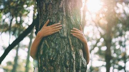 person is hugging  tree trunk © lovelyday12