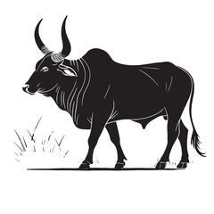 black zebu Silhouette Vector, High Quality Illustration on White Background