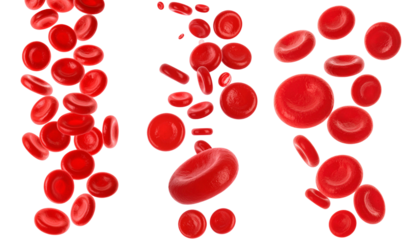 Detailed Red Blood Cells Floating Against A Transparent Background