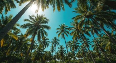 Green tropical palms rising toward bright sky background