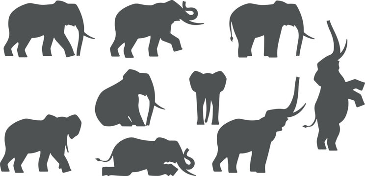 Elephant silhouette vector, wild animals silhouette set, safari animal shadow illustration, jungle wildlife outline, African animals clipart, elephant herd graphic, giraffe silhouette design, rhino sh