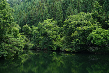 山形県_南陽市宮内地区_羽山堂溜池