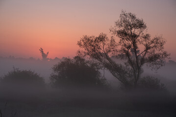 Piękny rózowy wschód słońca nad rzeką Łękawką w Kaniowie na Śląsku, Polska, mglisty letni poranek. 