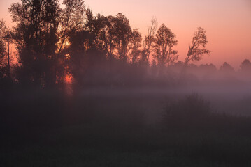 Piękny rózowy wschód słońca nad rzeką Łękawką w Kaniowie na Śląsku, Polska, mglisty letni poranek.  © Elżbieta Kaps
