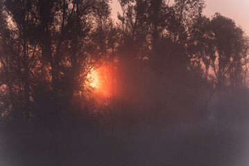 Piękny rózowy wschód słońca nad rzeką Łękawką w Kaniowie na Śląsku, Polska, mglisty letni poranek.  © Elżbieta Kaps