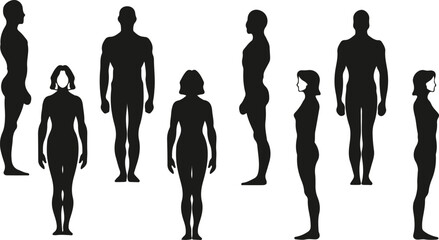 Human body silhouette vector, male female icon, body shape silhouette, anatomy figure vector, human outline design, man woman silhouette, male body vector, female body icon, black silhouette human, bo