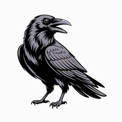 raven, bird, crow, black, feathers, beak, wings, flight, mystery, omen, folklore, mythology, totem, spirit, symbol, intelligence, wisdom, nocturnal, eerie, gothic, shadow, dark, forest, predator, watc