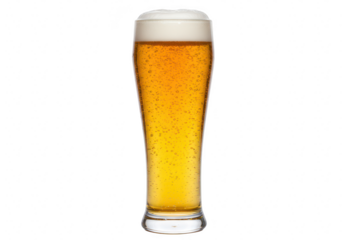 A tall glass of golden lager beer with frothy foam and bubbles, isolated on transparent background