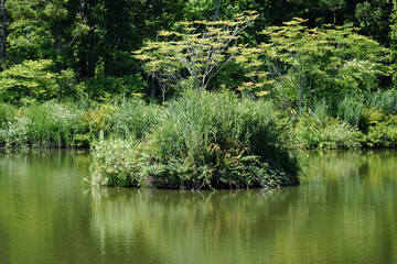 山形県_大沼の浮島_大沼浮嶋稲荷神社