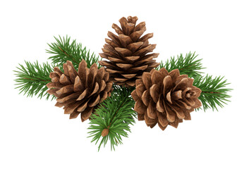 Fototapeta premium Three pine cones with green pine branches isolated on transparent background