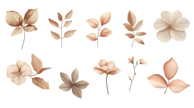 a series of ultra-realistic, minimalistic nature elements like leaves, flowers, and branches.
